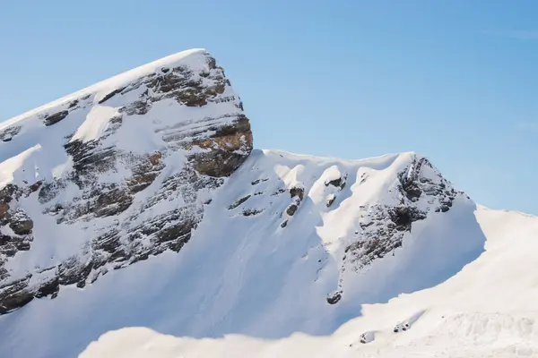 瑞士白雪覆盖的高山 在瑞士Grindelwald Jungfrau地区拍摄 — 图库照片