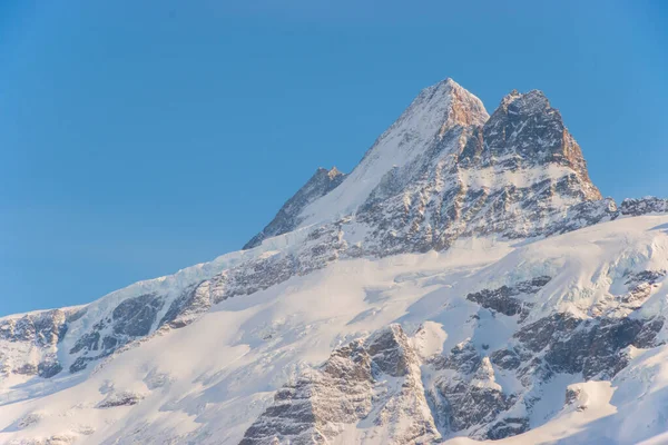 瑞士白雪覆盖的高山 在瑞士Grindelwald Jungfrau地区拍摄 — 图库照片
