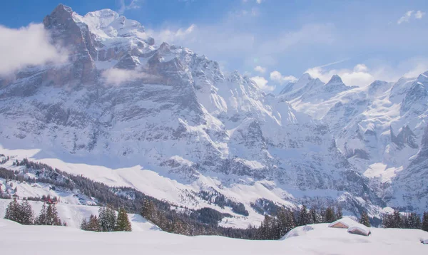 瑞士白雪覆盖的高山 3月22日在瑞士Grindelwald Jungfrau地区拍摄 2021年 — 图库照片