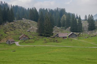Appenzell Alpleri, İsviçre 'de güzel bir bahar manzarası.