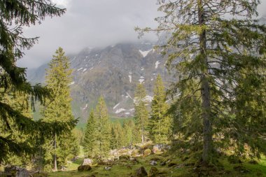 Apenzell Alp Dağları 'nın Mayıs ayı manzarası. Santis, İsviçre yakınlarında çekilmiş..