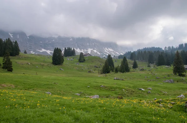 Appenzell Alps Τοπίο Τον Μάιο Τραβήχτηκε Κοντά Στο Santis Ελβετία — Φωτογραφία Αρχείου