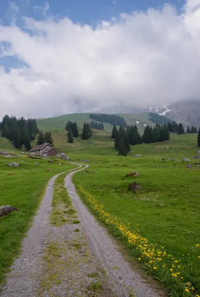 Krásná Švýcarská Jarní Krajina Appenzellu Švýcarsko — Stock fotografie