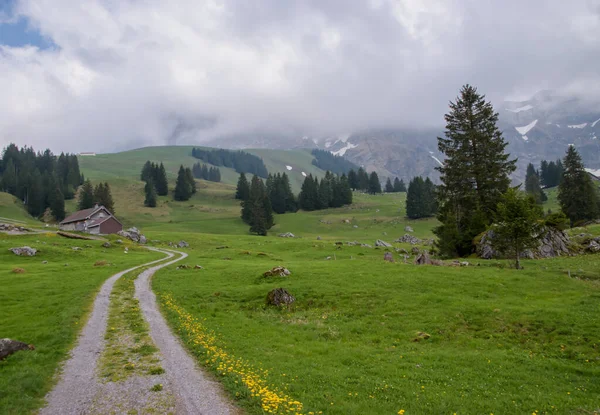 Krásná Švýcarská Jarní Krajina Appenzellu Švýcarsko — Stock fotografie