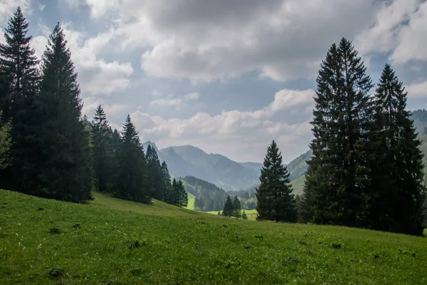 Krásná Švýcarská Jarní Krajina Appenzellu Švýcarsko — Stock fotografie