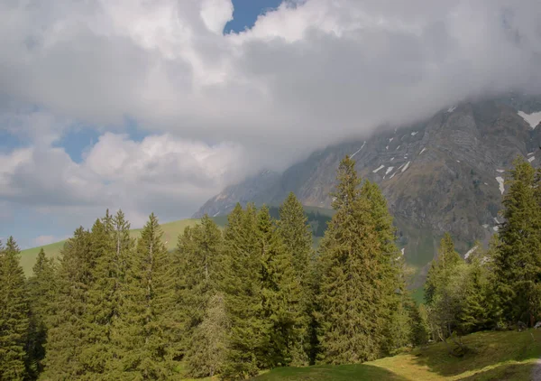 Appenzell Alpes Paisaje Mayo Tomado Cerca Santis Suiza — Foto de Stock