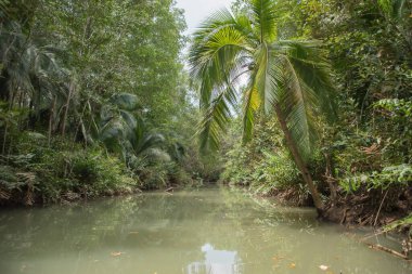 Kosta Rika 'da yağmur mevsiminde daha çok yağmur ama daha çok yeşillik. Burası doğa severler için bir cennet.