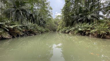 Kosta Rika 'da yağmur mevsiminde daha çok yağmur ama daha çok yeşillik. Burası doğa severler için bir cennet.