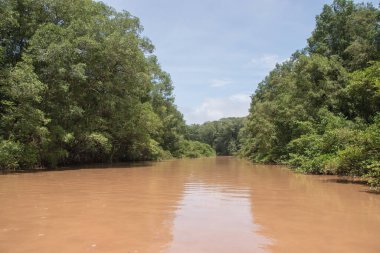 Kosta Rika 'da yağmur mevsiminde daha çok yağmur ama daha çok yeşillik. Burası doğa severler için bir cennet..