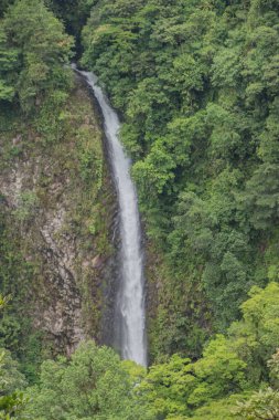La Fortuna şelalesi. Kosta Rika 'da yağmur mevsiminde daha çok yağmur ama daha çok yeşillik. Burası doğa severler için bir cennet.