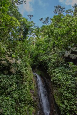 Kosta Rika 'da yağmur mevsiminde daha çok yağmur ama daha çok yeşillik. Burası doğa severler için bir cennet.
