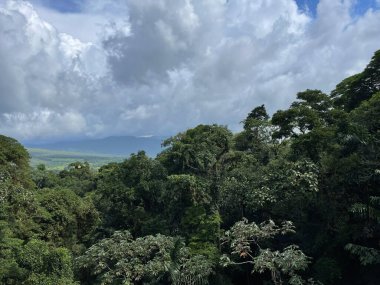 Kosta Rika 'da yağmur mevsiminde daha çok yağmur ama daha çok yeşillik. Burası doğa severler için bir cennet.