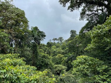 Kosta Rika 'da yağmur mevsiminde daha çok yağmur ama daha çok yeşillik. Burası doğa severler için bir cennet.