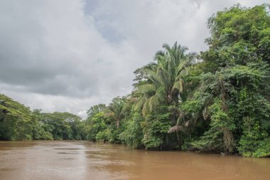 Cano Negro Vahşi Yaşam Sığınağı Nikaragua sınırına çok yakın bir yerde. Kosta Rika 'da doğa severler cenneti