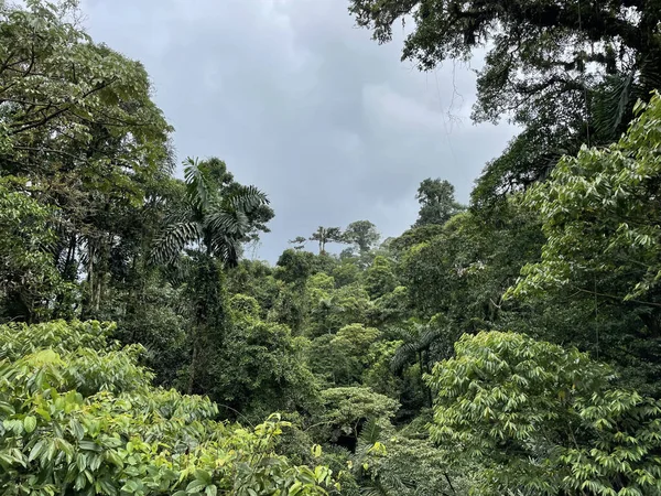 Kosta Rika 'da yağmur mevsiminde daha çok yağmur ama daha çok yeşillik. Burası doğa severler için bir cennet.