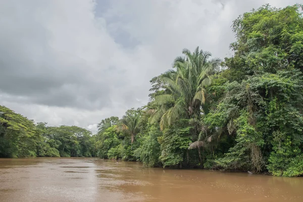 Cano Negro Vahşi Yaşam Sığınağı Nikaragua sınırına çok yakın bir yerde. Kosta Rika 'da doğa severler cenneti