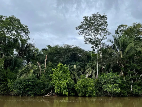 Cano Negro Vahşi Yaşam Sığınağı Nikaragua sınırına çok yakın bir yerde. Kosta Rika 'da doğa severler cenneti