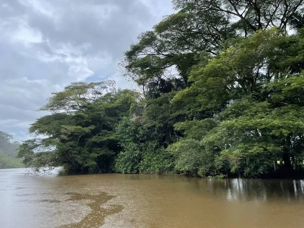 Cano Zenci Vahşi Yaşam Sığınağı, Kosta Rika 'da kuşları ve hayvanları gözlemleyebileceğiniz yer.