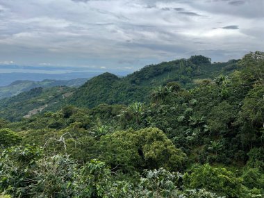 Kosta Rika 'da yağmur mevsiminde daha çok yağmur ama daha çok yeşillik. Burası doğa severler için bir cennet.