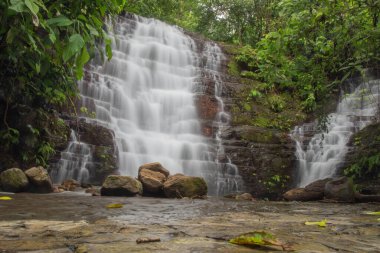Kosta Rika 'da yağmur mevsiminde daha çok yağmur ama daha çok yeşillik. Burası doğa severler için bir cennet.