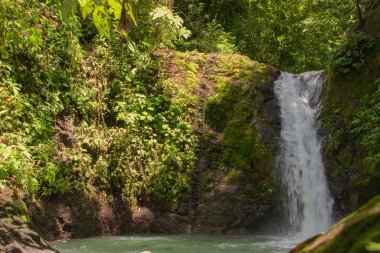 Kosta Rika 'da yağmur mevsiminde daha çok yağmur ama daha çok yeşillik. Burası doğa severler için bir cennet.