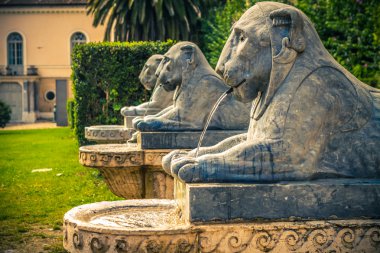 Tuileries Bahçesi. Roma. İtalya.