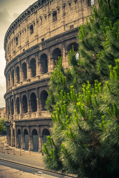 Das kolosseum in rom. Italien. — Stockfoto