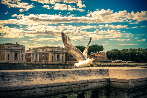 Ponte sant angelo. Roma. Itálie. — Stock fotografie