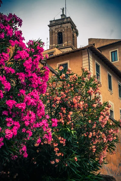 Roma Bazilikası. İtalya.