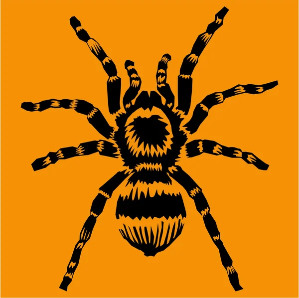 Tarantula — Stock Vector