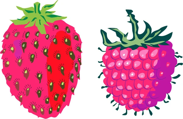 草莓和树莓 — 图库矢量图片