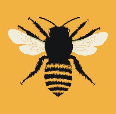 Bee - Insect clipart