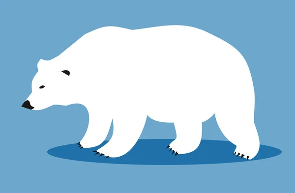 Urso polar branco — Vetor de Stock