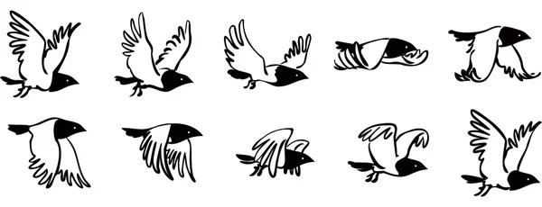 Sequenza uccelli volanti — Vettoriale Stock