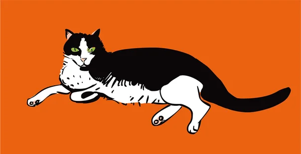 Katze auf orangenem Hintergrund — Stockvektor