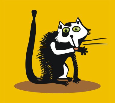 komik kedi kendisini yıkama