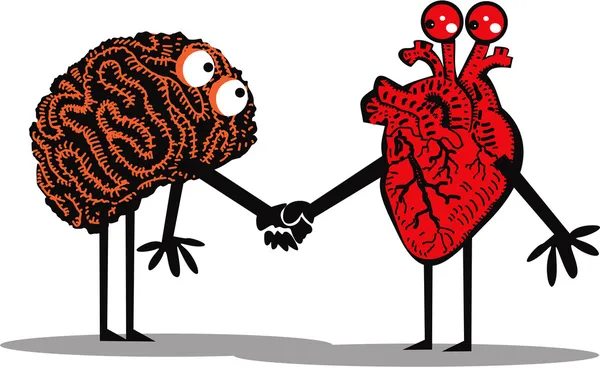 Cerebro y corazón — Vector de stock