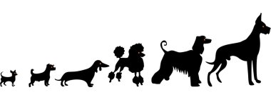 Komik köpek siluetleri