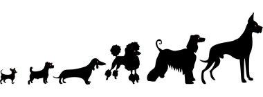 Funny dog silhouettes clipart