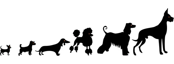 Funny dog silhouettes — Stock Vector