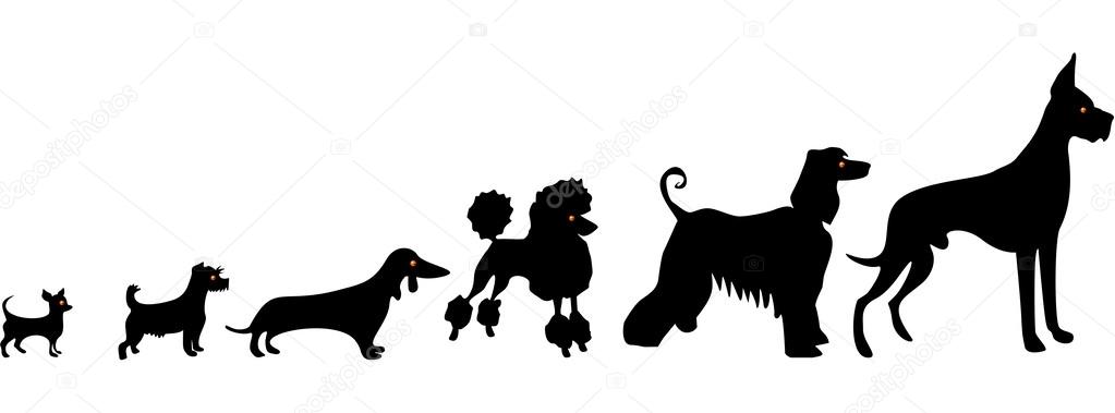 Funny dog silhouettes