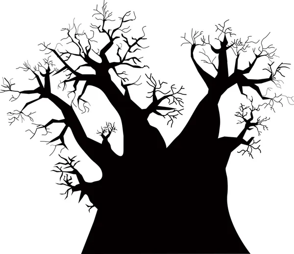 Baobab tree — Stock Vector