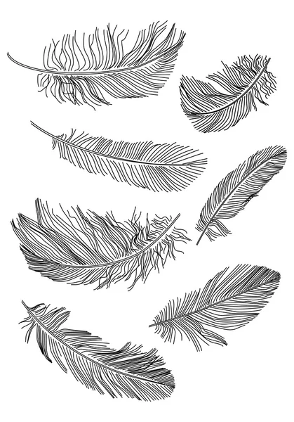 Plumas — Archivo Imágenes Vectoriales