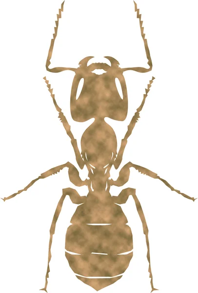 Ilustracja Ant — Zdjęcie stockowe