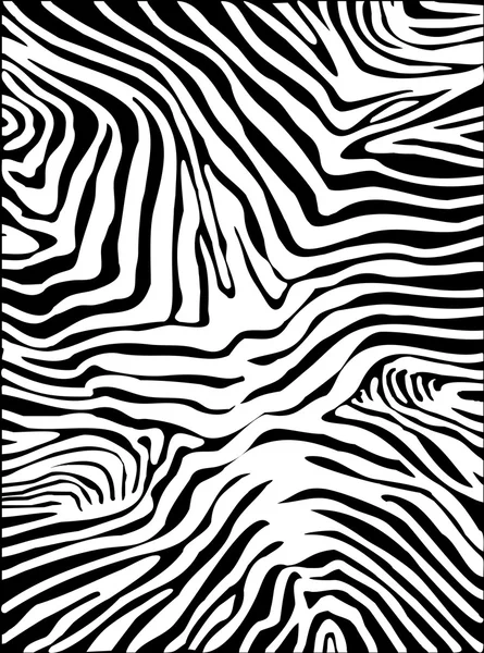 Zebra bőr háttér — Stock Fotó