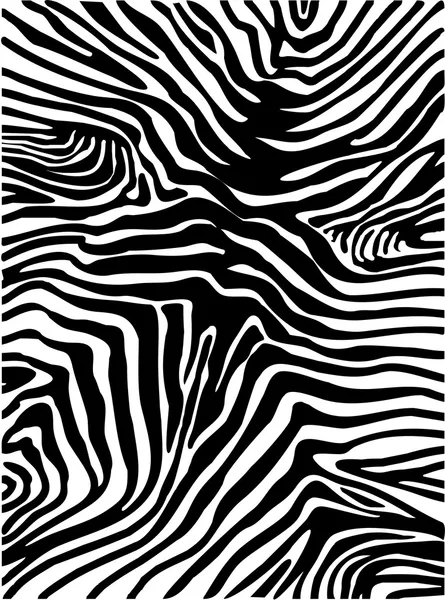 Zebra sfondo della pelle — Vettoriale Stock