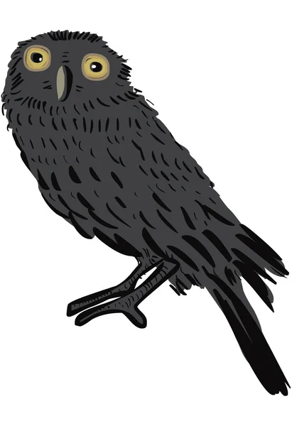 Owlet — стоковий вектор