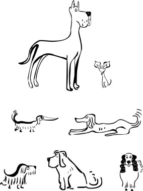 Bir grup komik köpek.