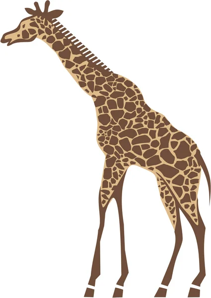 Girafe — Image vectorielle