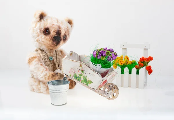 Orsacchiotto giardiniere — Foto Stock